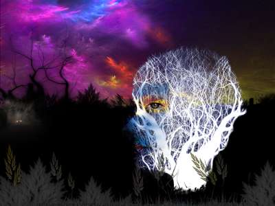 자연의 시선(숲) / Nature of the eye (Forest)