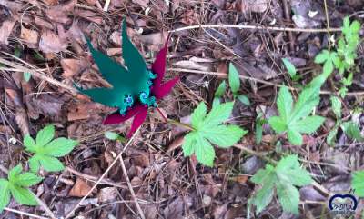 단풍잎 하나를 만들어 살짝 자연속에 얹어봅니다.