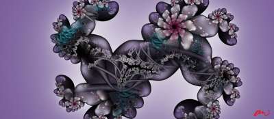 프랙탈 꽃잎(디지털액자용)