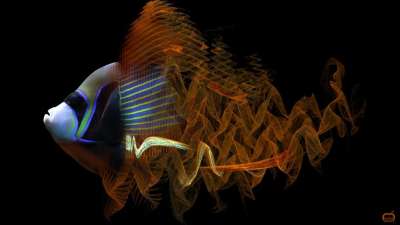 [프랙탈아트]Cross-cultural (프랙탈 물고기)