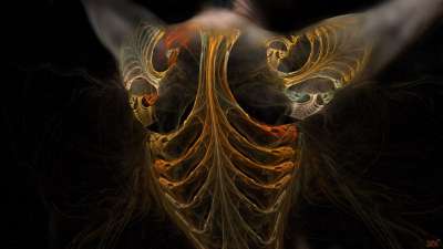 프랙탈 바디(Fractal Body)