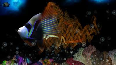 Cultural differences