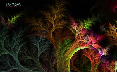 가시덤불(Thornbush)