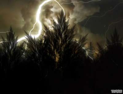 폭풍속드라이브