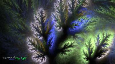 Memories of the night(밤의 추억)