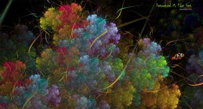 Seaweed in the sea(finding nemo 니모를 찾아서)