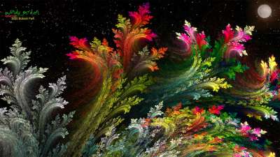 Fractal Garden(프랙탈 정원)