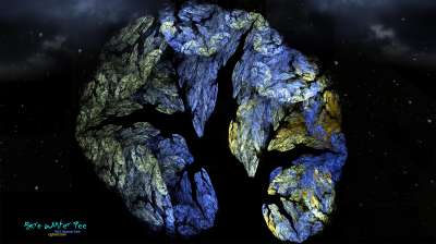 Bare Winter tree (앙상한 겨울나무)