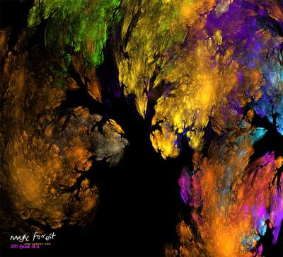 Magic forest(마법의 숲)