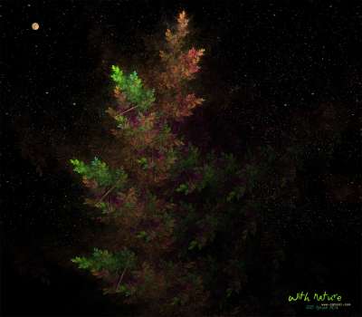 with nature(자연과 함께)