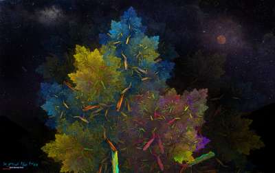 그래서 나무를 키웁니다.(so grows the tree)