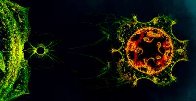 이런 사이트가 있었군요!