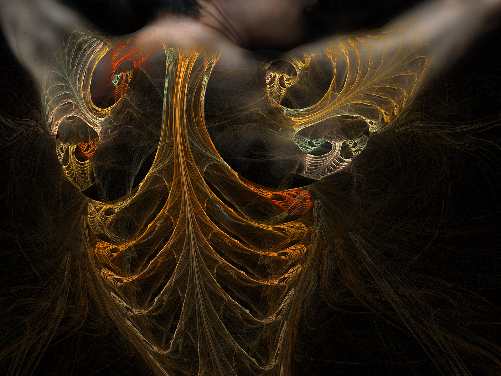 Fractal NFT Art 컬렉션 대표 이미지